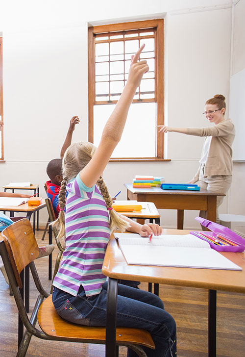 Contrato de dedetização para Escolas - Dedetizadora em Niterói